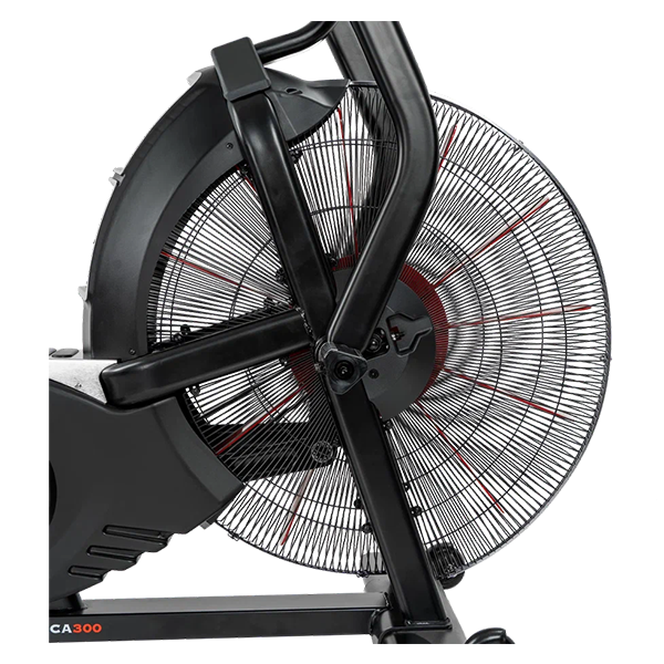 Аэробайк CardioPower PRO СА300