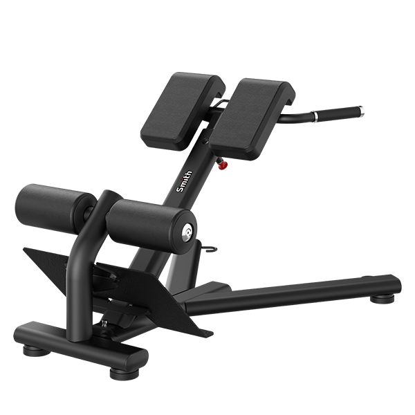 Гиперэкстензия Smith RE6010 Гиперэкстензия Smith RE6010