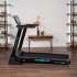 Беговая дорожка домашняя OXYGEN FITNESS EMERALD TFT 10 Беговая дорожка домашняя OXYGEN FITNESS EMERALD TFT 10