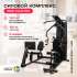 Силовой комплекс Svensson Body Labs RIGEL PLUS PRO