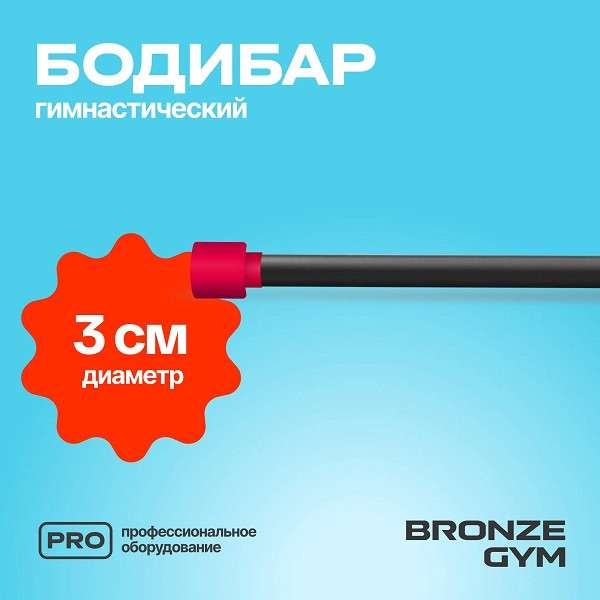 BRONZE GYM БОДИБАР 4 кг