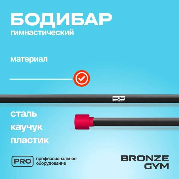 BRONZE GYM БОДИБАР 4 кг
