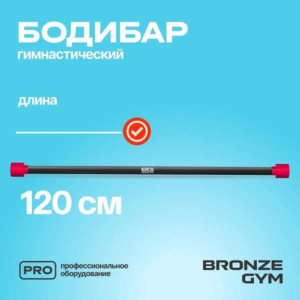 BRONZE GYM БОДИБАР 4 кг