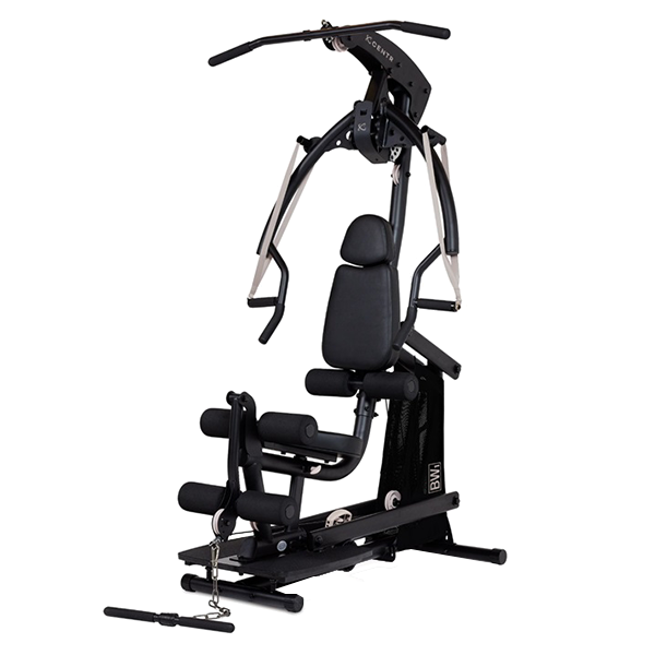 Многофункциональный силовой комплекс CENTR Body Weight Home Gym Многофункциональный силовой комплекс CENTR Body Weight Home Gym